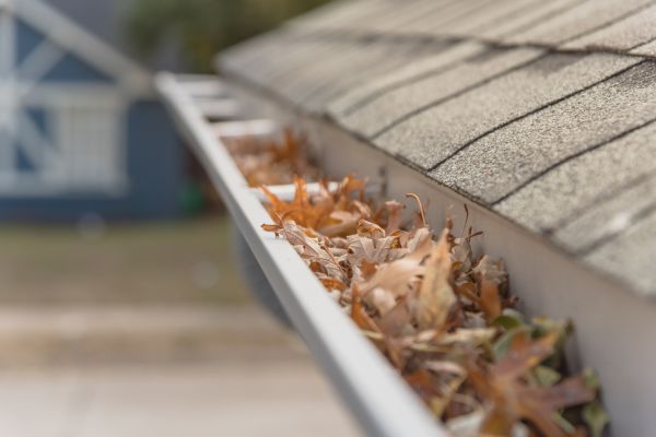 Leaf Barrier Installation in Powell